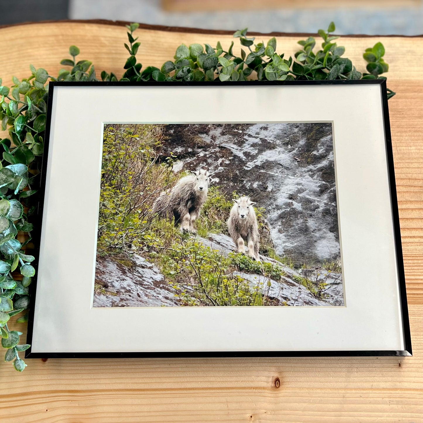 Mountain Goats Print