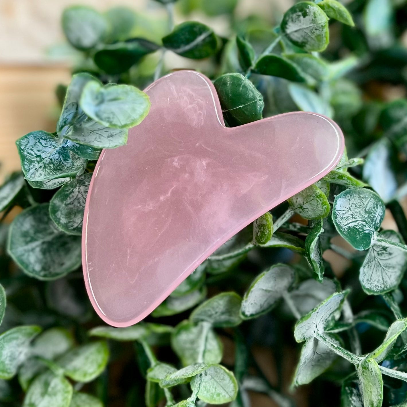 Gua Sha Tool