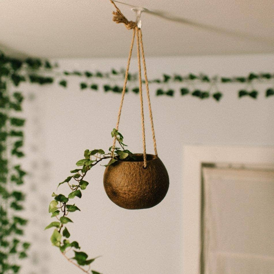 Hanging Coconut Planter Beach Decor